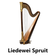 Liedewei Spruit